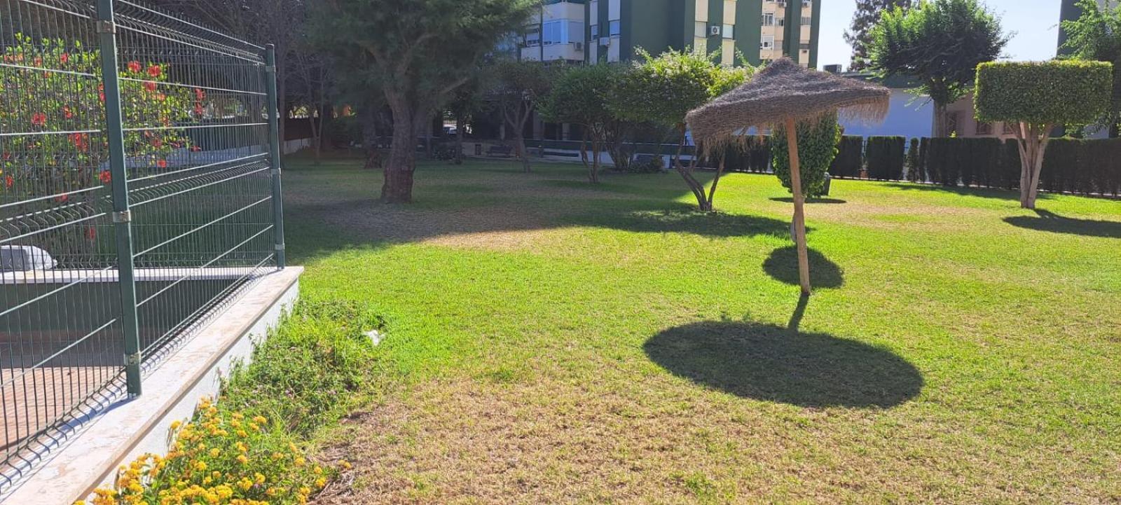 Jenofonte Zj Apartamento